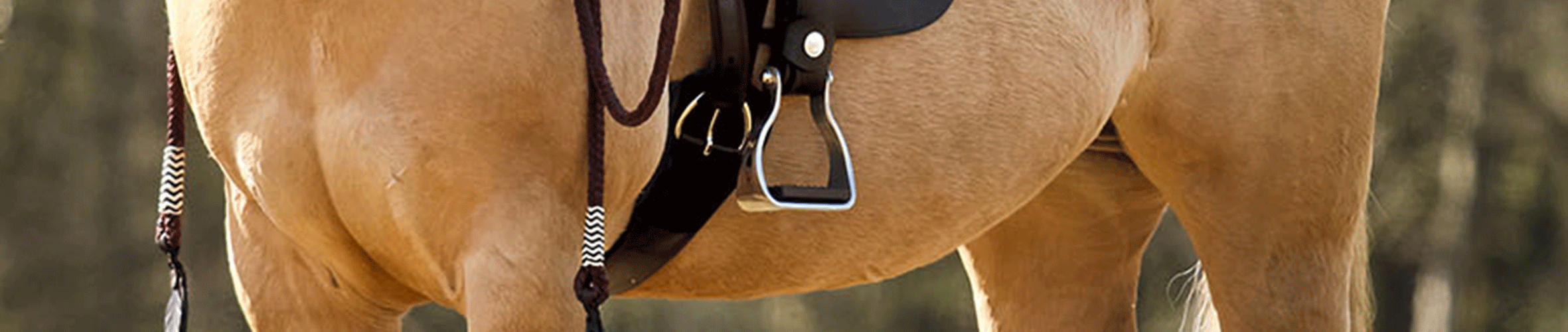 Sangle De Selle Western Equinate - Peau D'agneau Synthétique, 90 Cm, Coupe Large, Lavable 30°C
